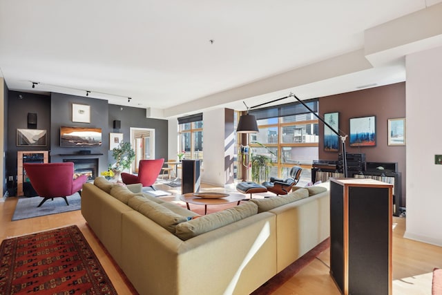 living area featuring light wood-type flooring, a glass covered fireplace, and track lighting