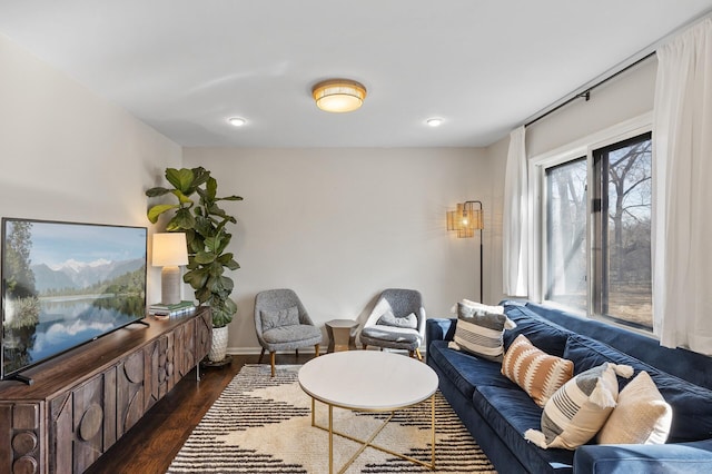 living area with dark wood-style floors