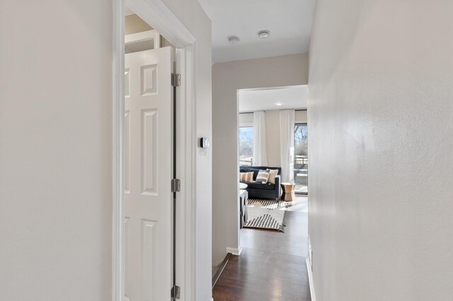 hall with dark wood finished floors and baseboards