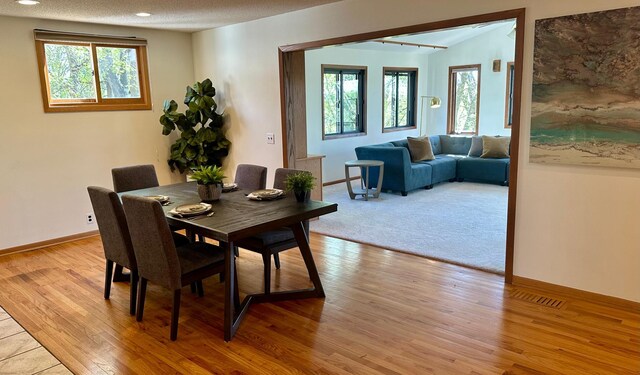 dining room featuring baseboards, a healthy amount of sunlight, and light wood finished floors