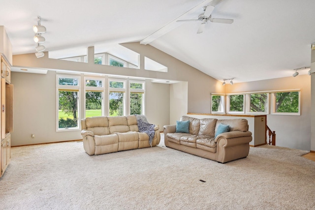 living area with high vaulted ceiling, carpet, beam ceiling, and track lighting