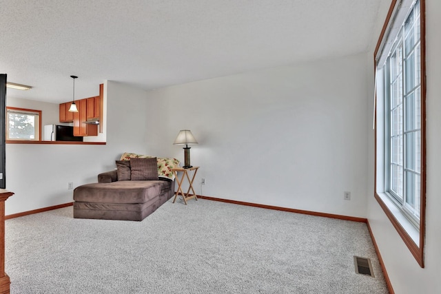 living area featuring visible vents, a textured ceiling, baseboards, and carpet