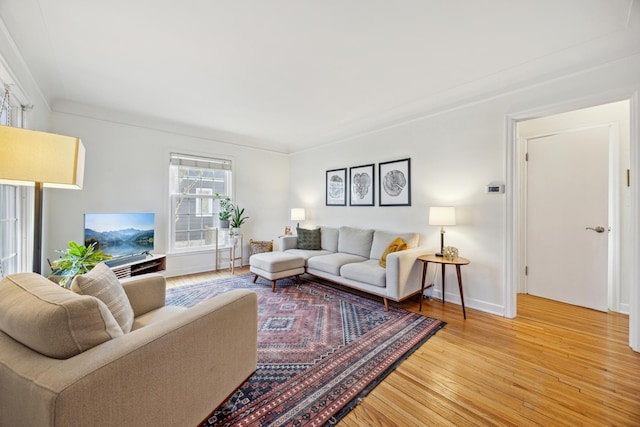 living room with baseboards and light wood-style floors