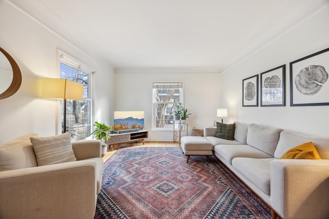 living area with a wealth of natural light and wood finished floors