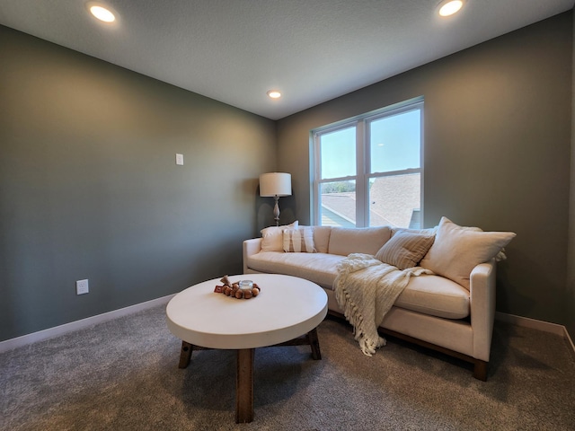 6624 Captains Cir NW, Sauk Rapids, MN 56379 - carpeted living room with baseboards and recessed lighting