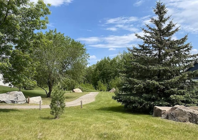 6624 Captains Cir NW, Sauk Rapids, MN 56379 - view of community with a yard