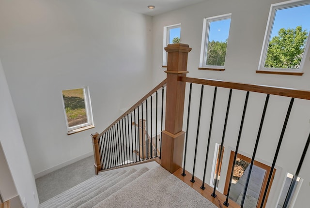 6624 Captains Cir NW, Sauk Rapids, MN 56379 - staircase with carpet flooring and baseboards
