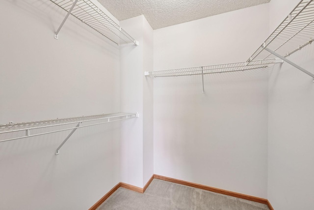 walk in closet featuring carpet