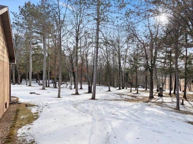 view of yard layered in snow