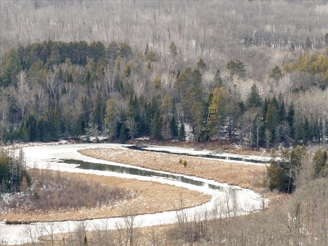 exterior space with a forest view