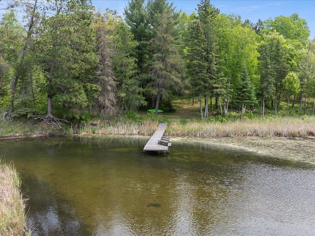 3365 State 200 NE, Remer, MN 56672 - photo 4