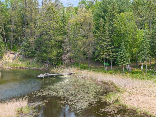 3365 State 200 NE, Remer, MN 56672 - photo 8