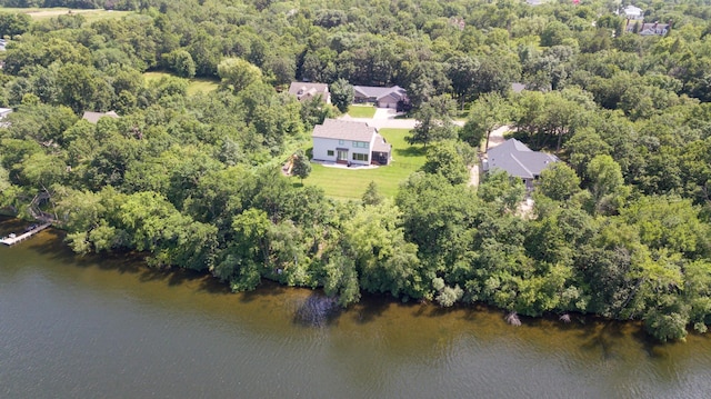 drone / aerial view with a water view and a view of trees