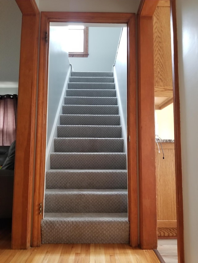 stairway with wood finished floors