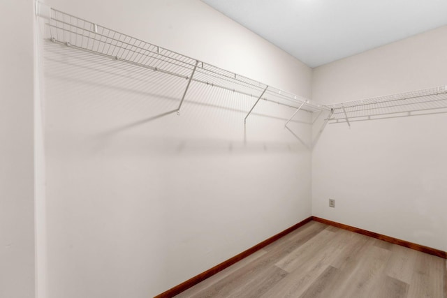 walk in closet featuring light wood-type flooring