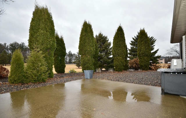 view of yard featuring a patio area