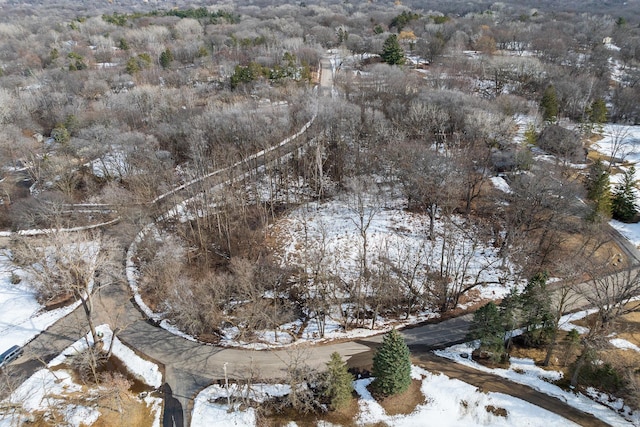155XX Loop Rd S, Burnsville, MN 55306 - photo 4