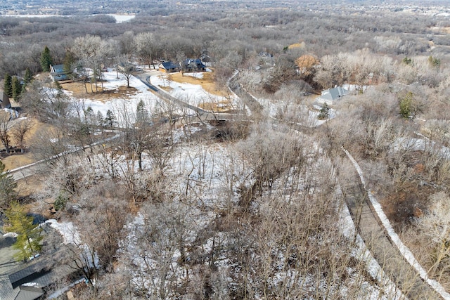 155XX Loop Rd S, Burnsville, MN 55306 - photo 8