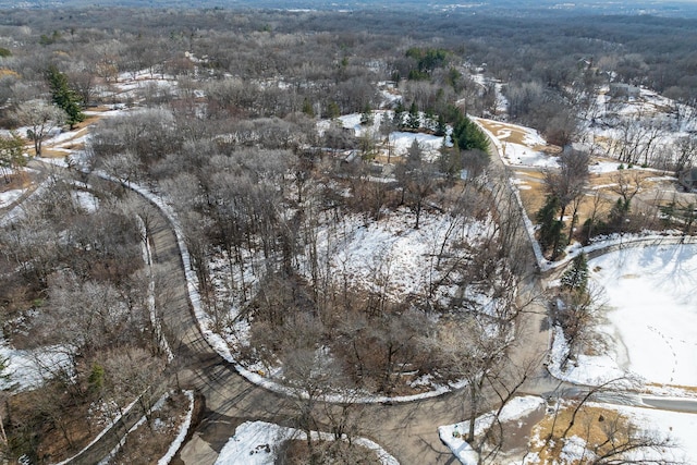 155XX Loop Rd S, Burnsville, MN 55306 - photo 11