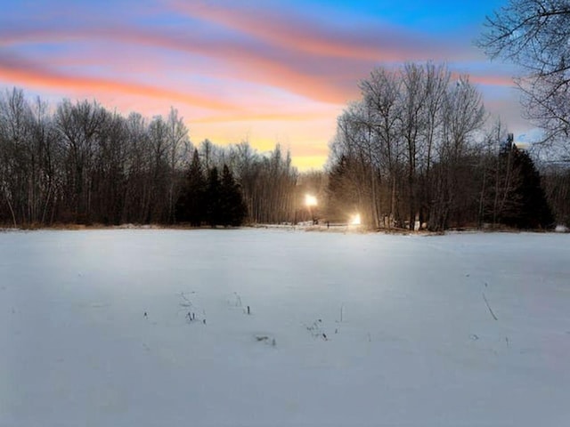 snowy yard with a wooded view