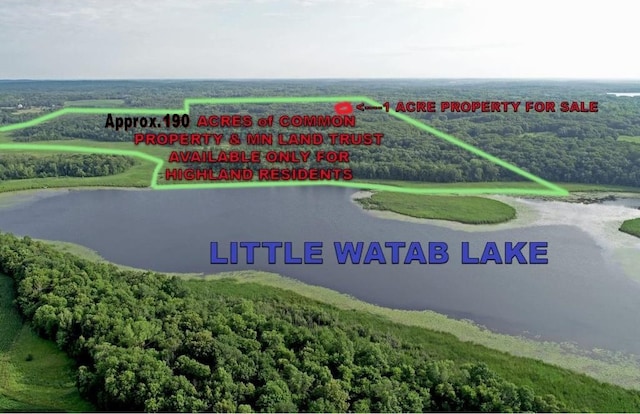 aerial view featuring a water view and a view of trees