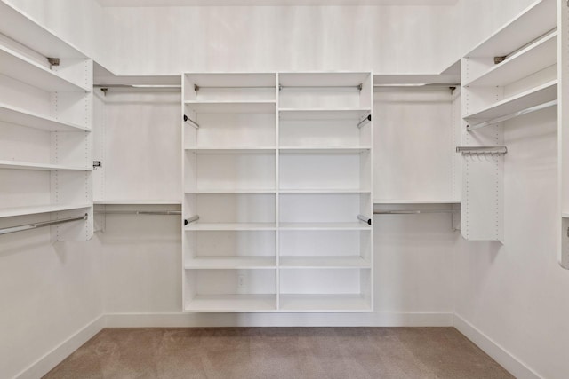 875 Lake St N Unit 402, Wayzata, MN 55391 - walk in closet featuring carpet