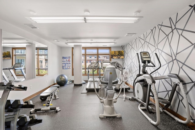 875 Lake St N Unit 402, Wayzata, MN 55391 - gym with plenty of natural light