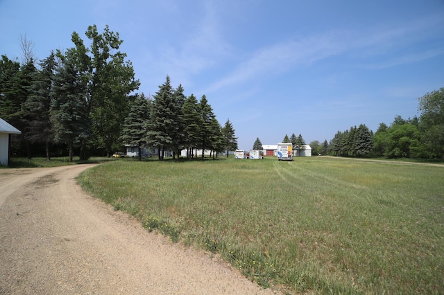 view of street featuring dirt driveway