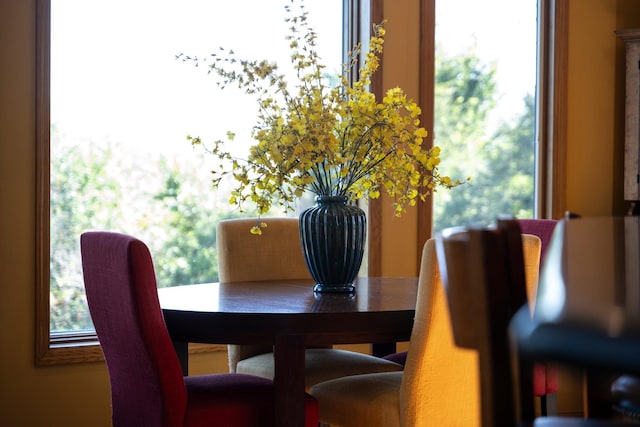 dining space with a wealth of natural light