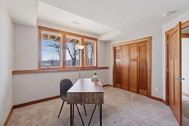 6 Black Lake Rd, North Oaks, MN 55127 - office area with carpet flooring, baseboards, and a textured ceiling