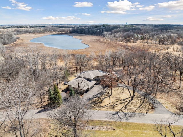 6 Black Lake Rd, North Oaks, MN 55127 - view from above of property