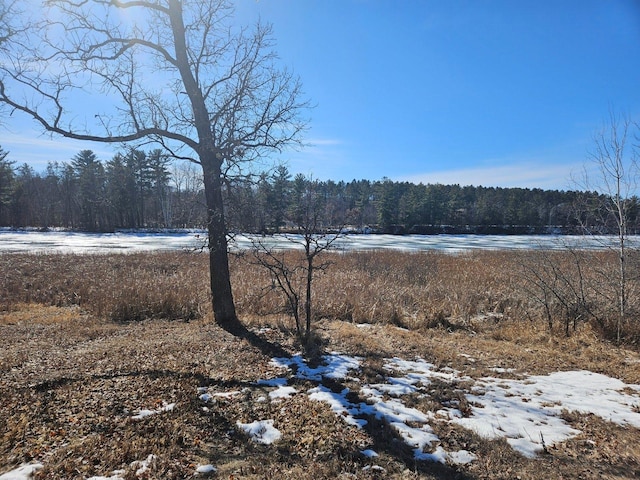 water view with a wooded view