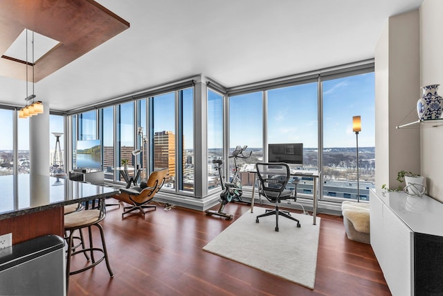 office space featuring a wall of windows and wood finished floors