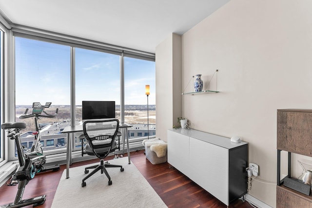 home office featuring dark wood finished floors and floor to ceiling windows