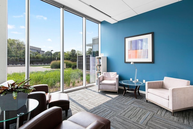 interior space with a wall of windows, baseboards, and carpet