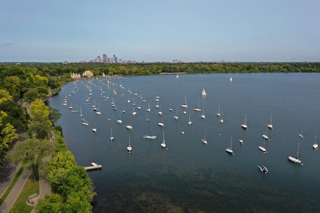 property view of water featuring a view of city