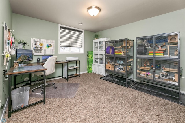 office space with carpet floors and baseboards