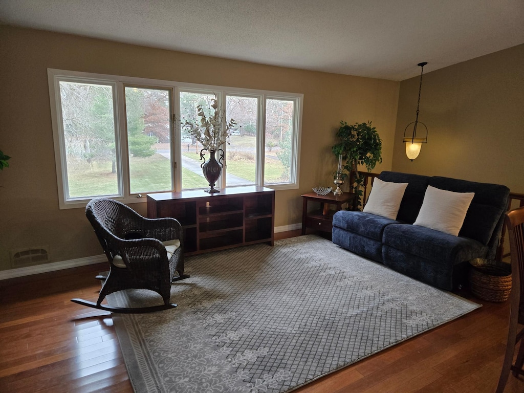 living room featuring wood finished floors, visible vents, and baseboards