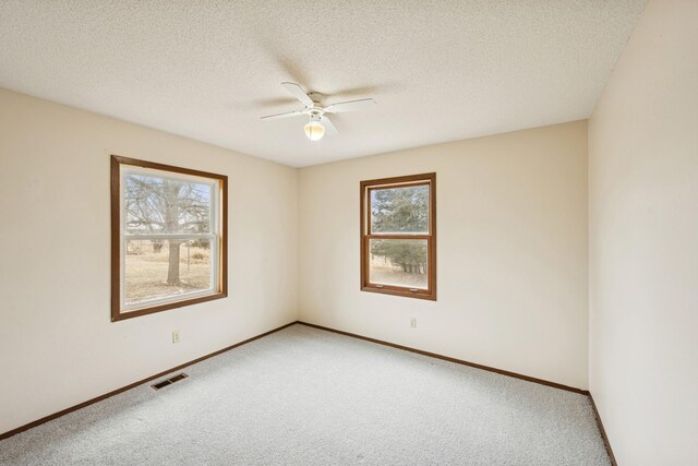 10780 County Road 9 NE, Spicer, MN 56288 - photo 10