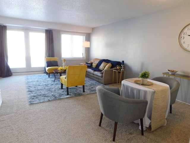 carpeted living area with a textured ceiling