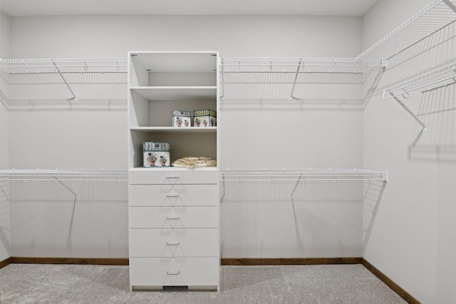 spacious closet featuring carpet