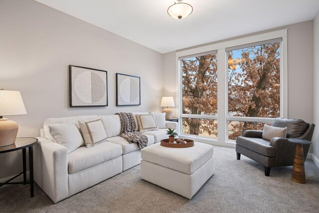 18928 Katrine Ct, Lakeville, MN 55044 - living room with carpet