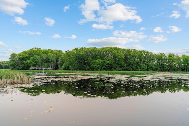 18928 Katrine Ct, Lakeville, MN 55044 - water view featuring a forest