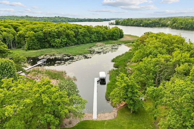 18928 Katrine Ct, Lakeville, MN 55044 - aerial view of a large body of water and a forest