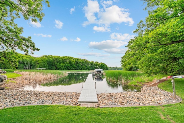 18928 Katrine Ct, Lakeville, MN 55044 - view of community with a water view, a lawn, and a view of trees