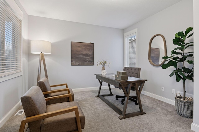 18928 Katrine Ct, Lakeville, MN 55044 - office with carpet and baseboards
