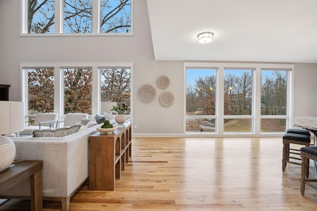 18928 Katrine Ct, Lakeville, MN 55044 - living area with light wood finished floors, a towering ceiling, and baseboards