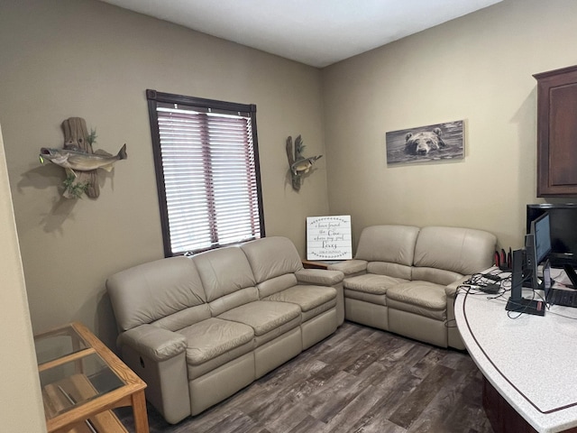 living area with dark wood-style flooring