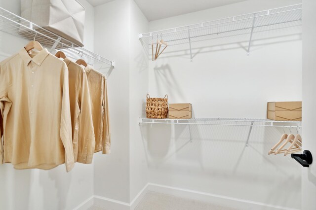 view of spacious closet