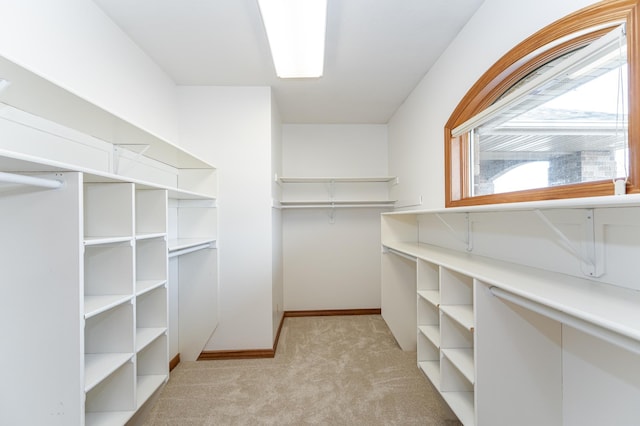 walk in closet featuring light carpet